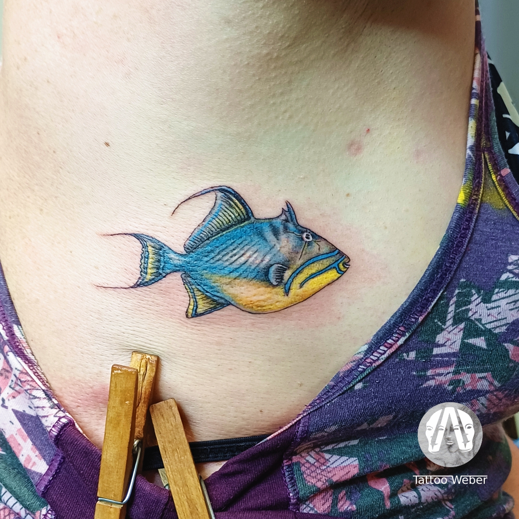 Tattoo Weber tetování Plzeň