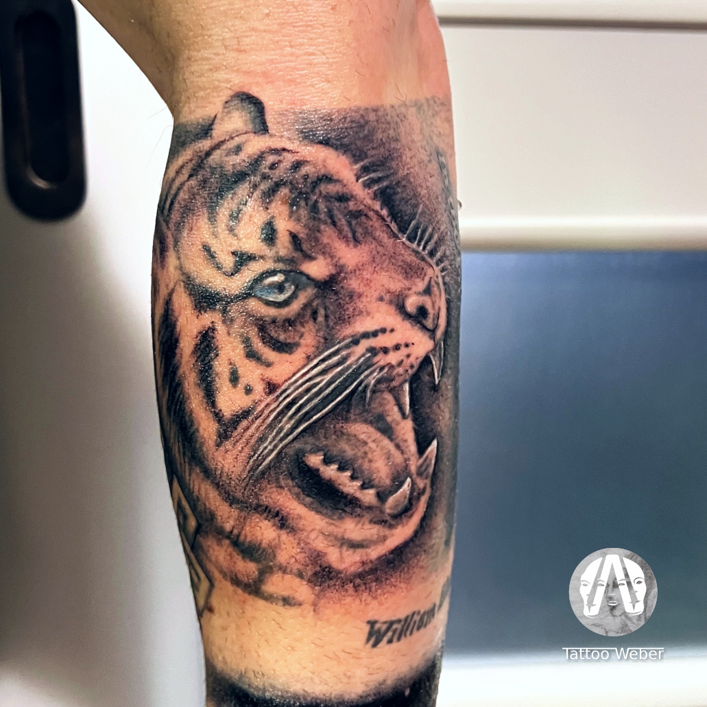 Tattoo Weber tetování Plzeň