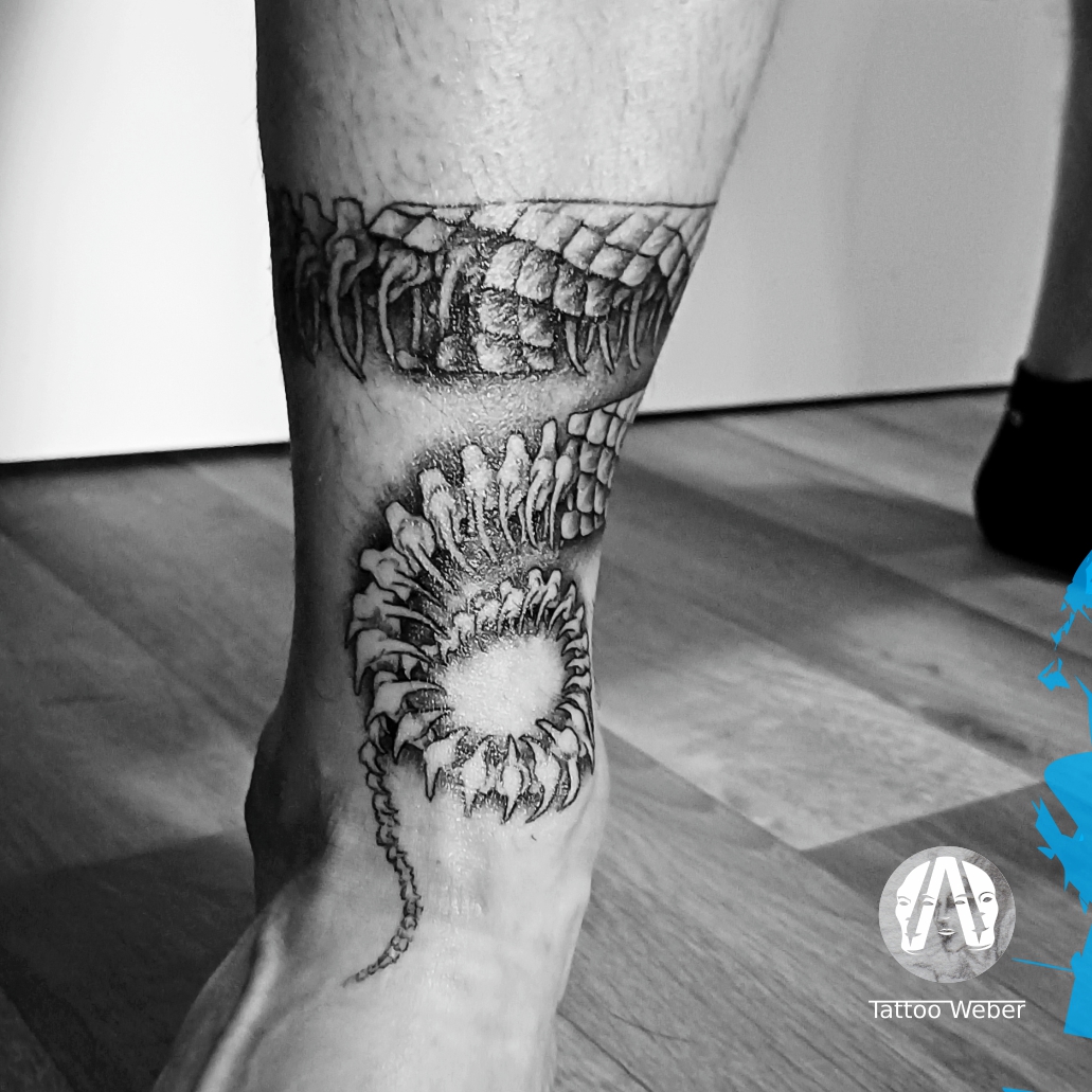 Tattoo Weber tetování Plzeň