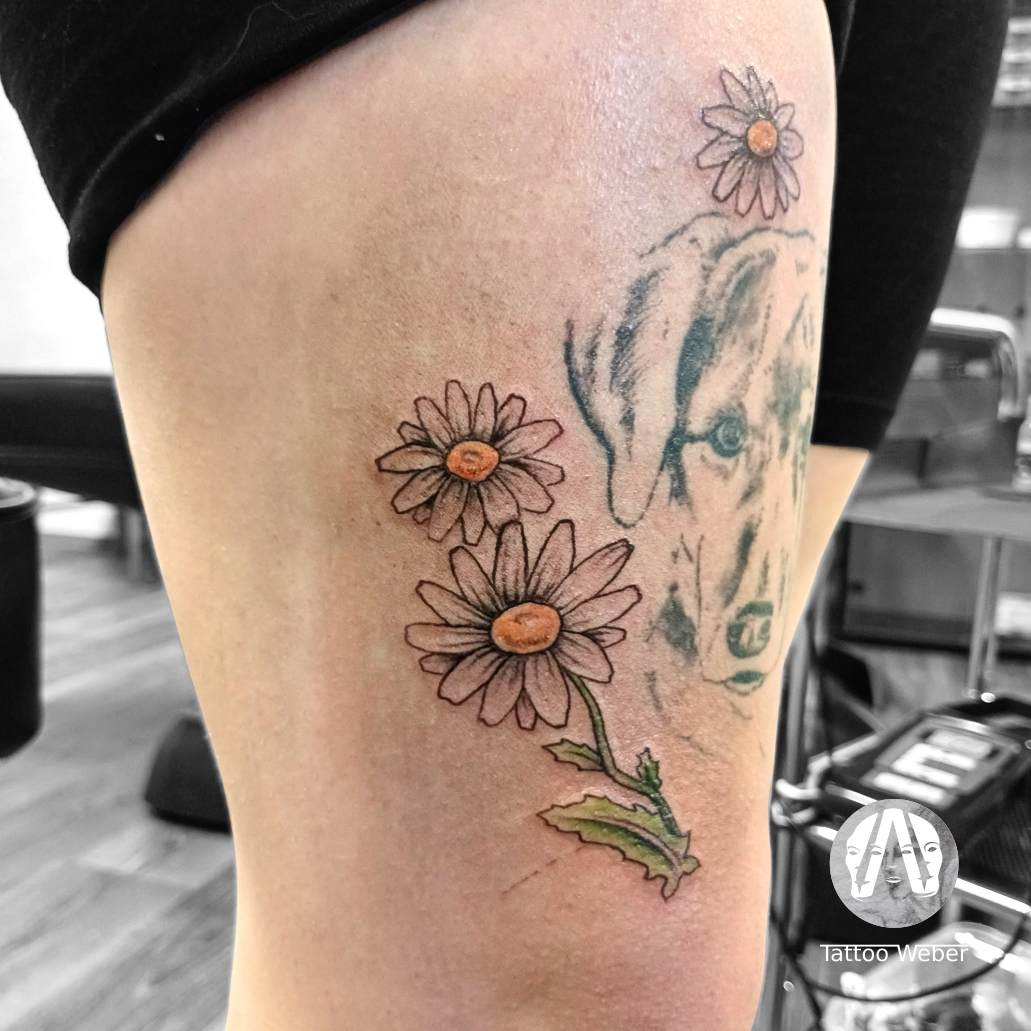 Tattoo Weber tetování Plzeň
