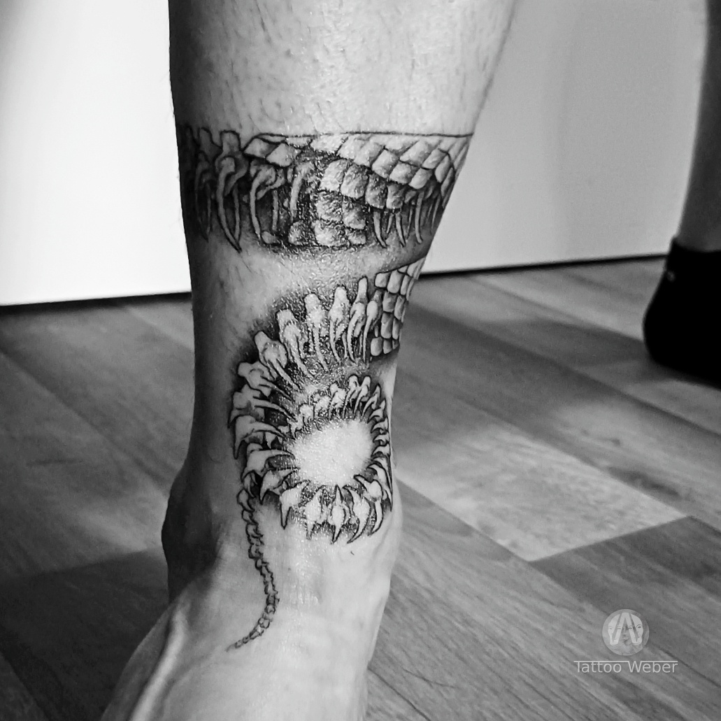 Tattoo Weber tetování Plzeň
