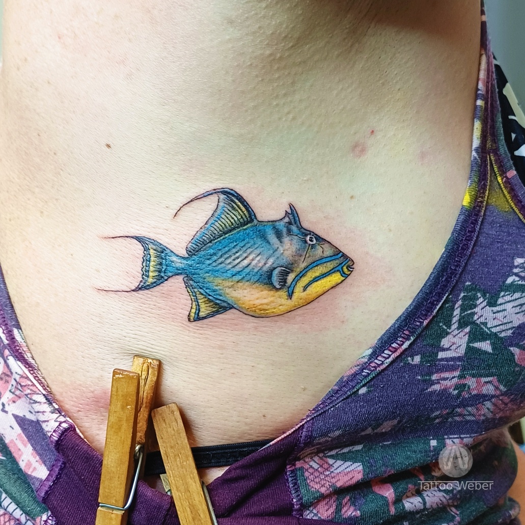 Tattoo Weber tetování Plzeň