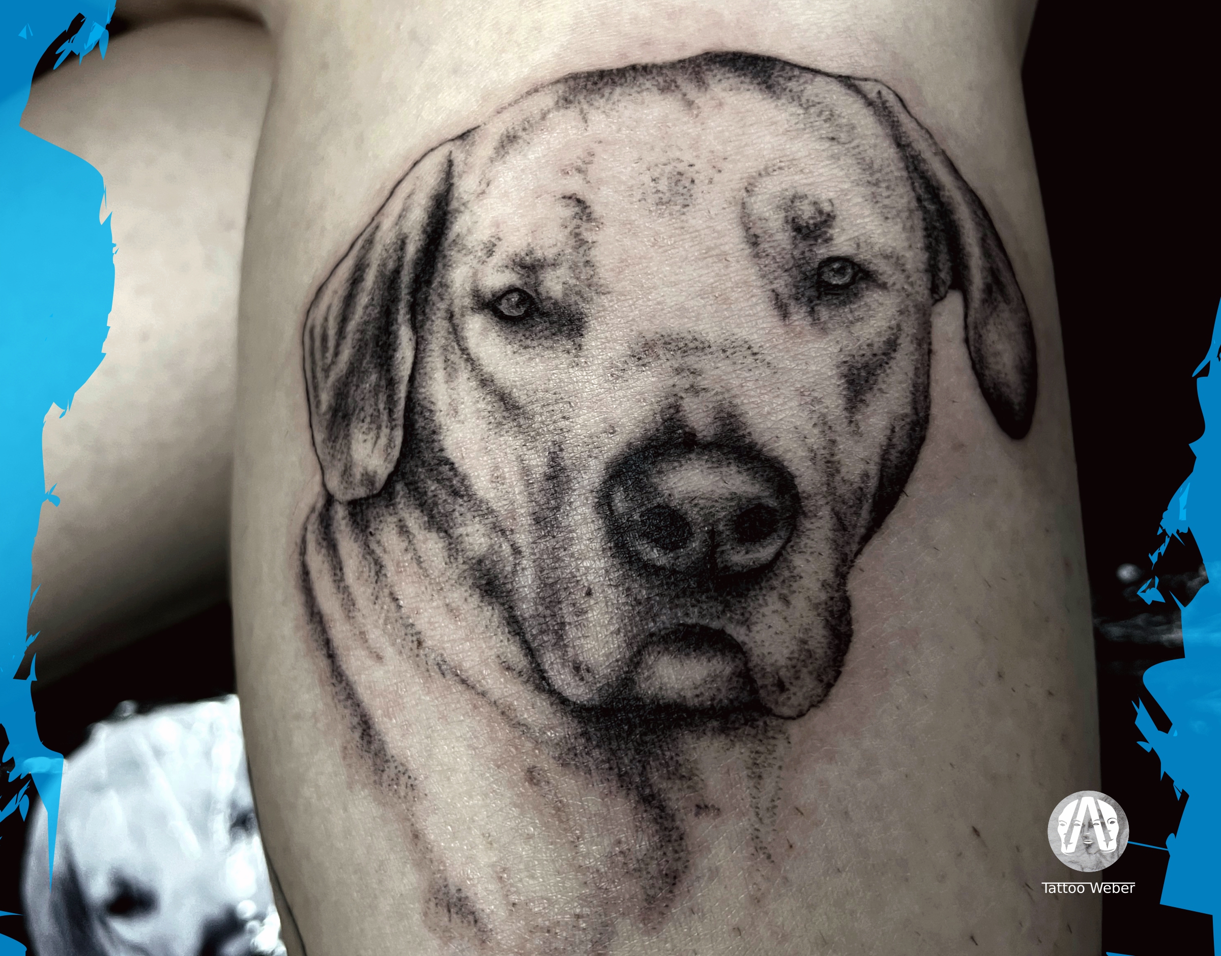Tattoo Weber, tetování Plzeň, pejsek portrét