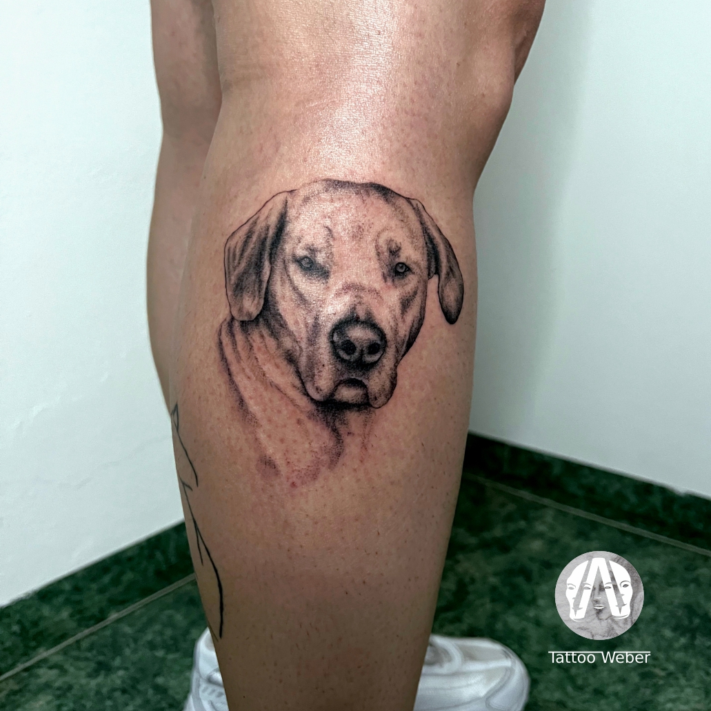 Tattoo Weber tetování Plzeň