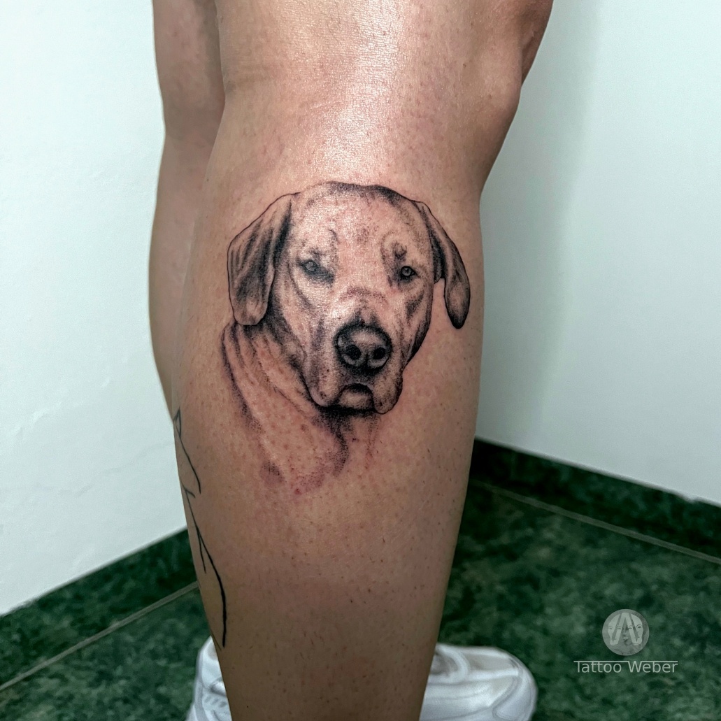 Tattoo Weber tetování Plzeň