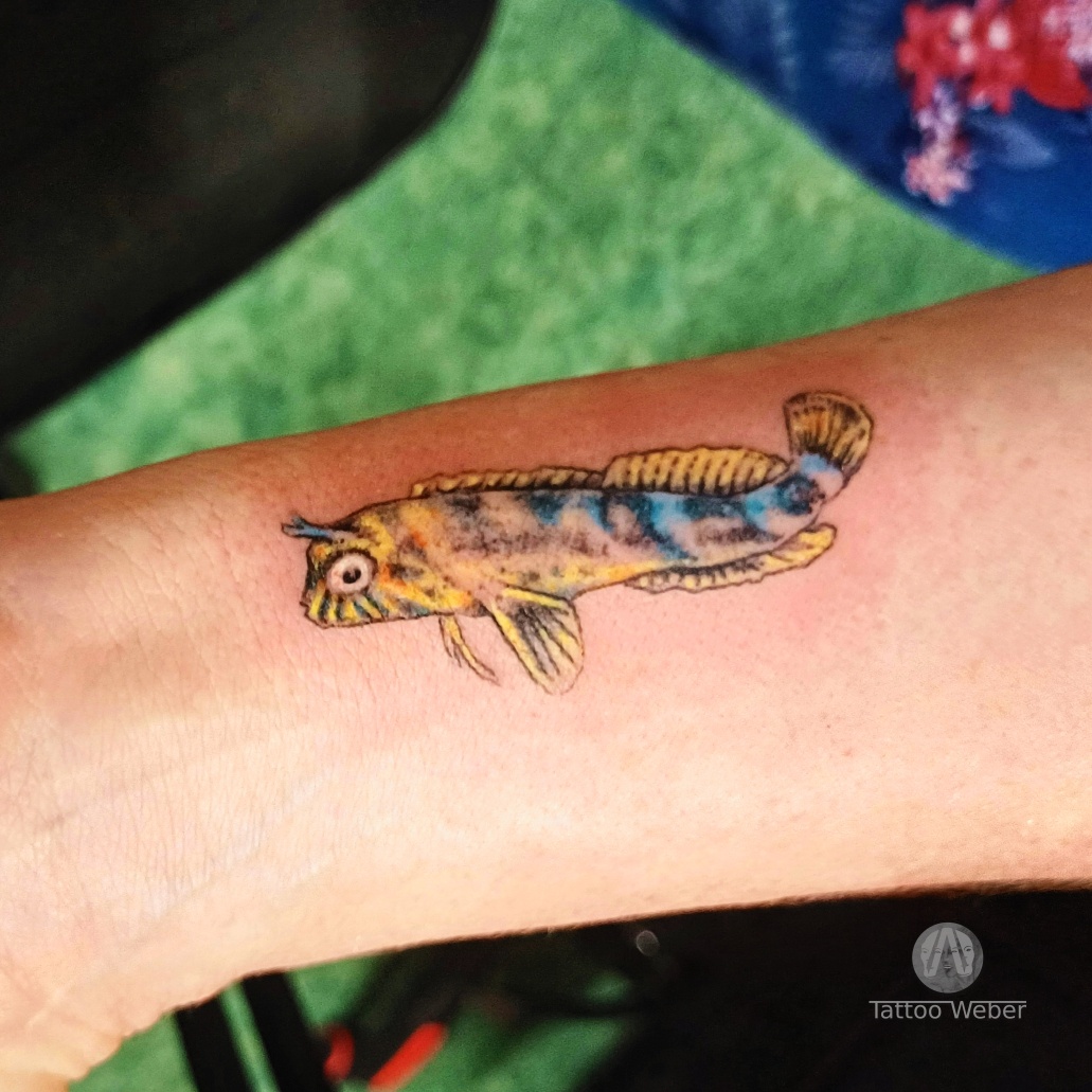 Tattoo Weber tetování Plzeň