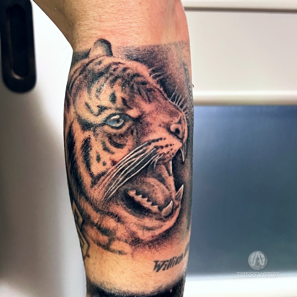 Tattoo Weber tetování Plzeň